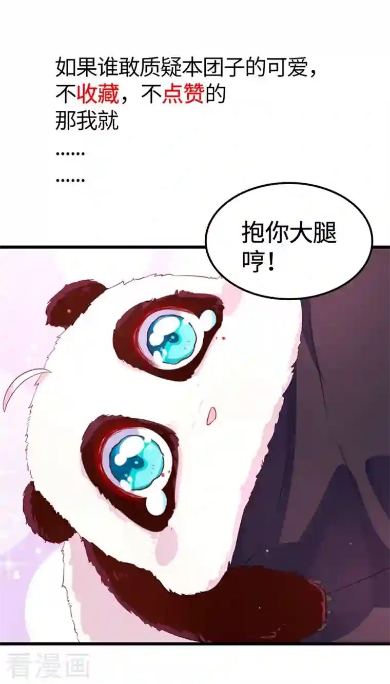 天降萌宝小熊猫：萌妃来袭序章