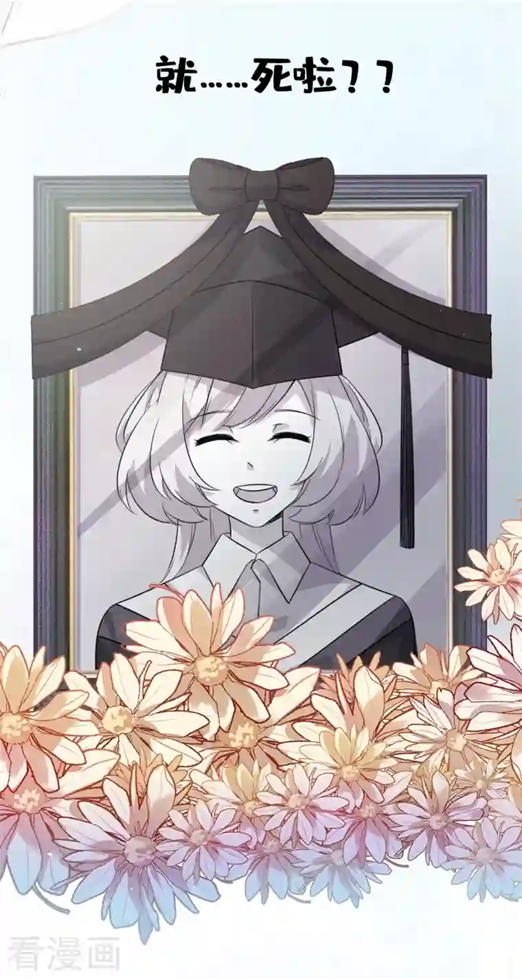 天降萌宝小熊猫：萌妃来袭序章