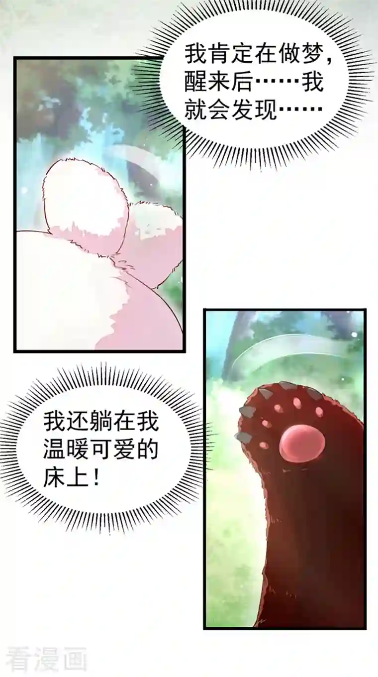 天降萌宝小熊猫：萌妃来袭第1话 我变成熊猫了？