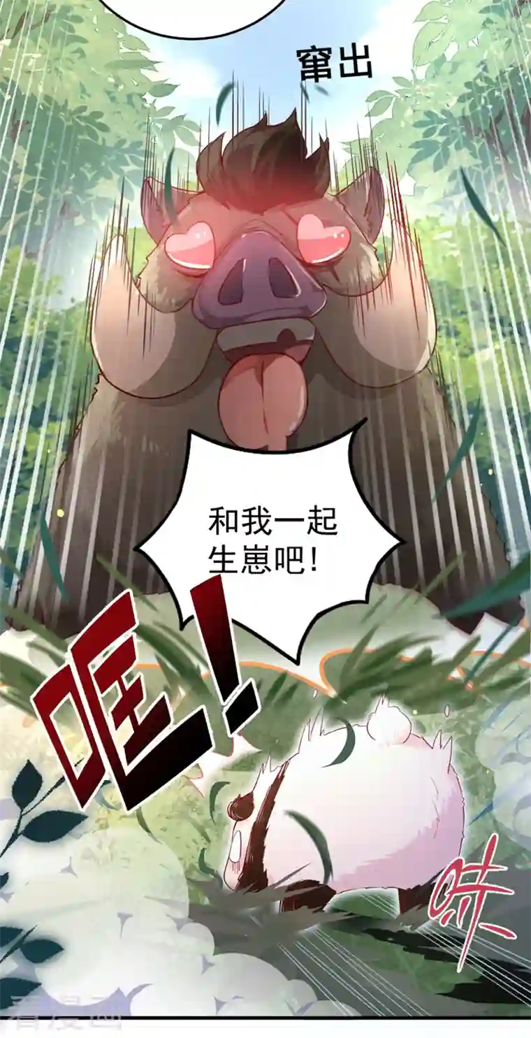 天降萌宝小熊猫：萌妃来袭第2话 帅哥从天而降