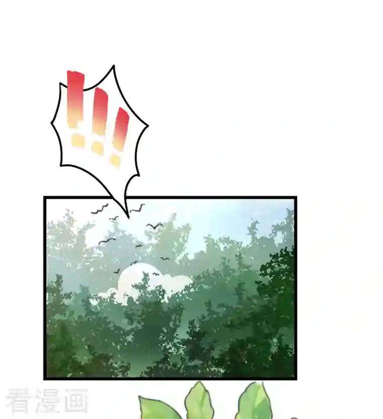 天降萌宝小熊猫：萌妃来袭第2话 帅哥从天而降