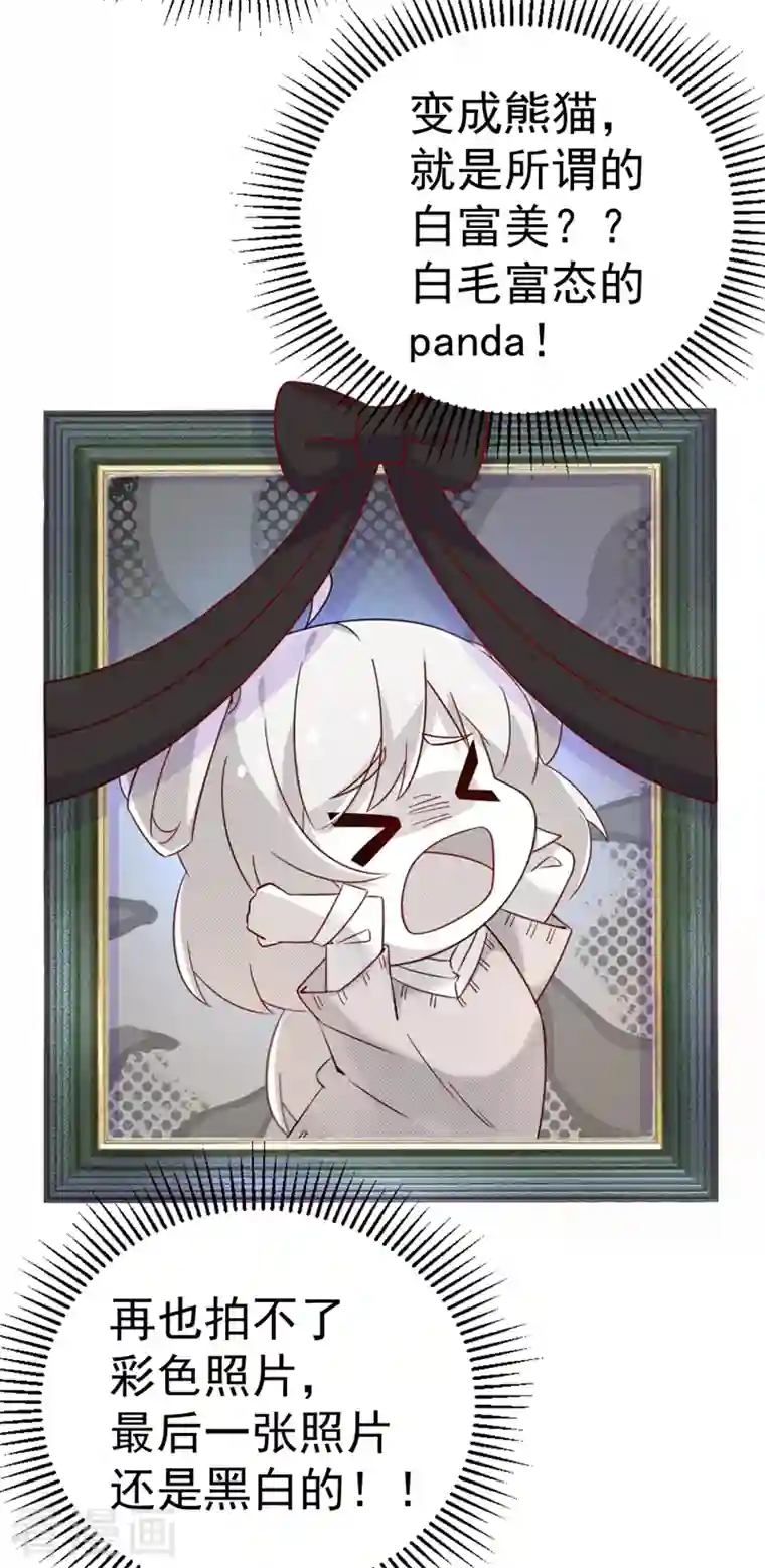 天降萌宝小熊猫：萌妃来袭第2话 帅哥从天而降