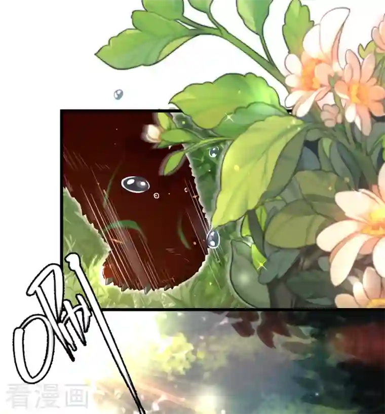 天降萌宝小熊猫：萌妃来袭第2话 帅哥从天而降