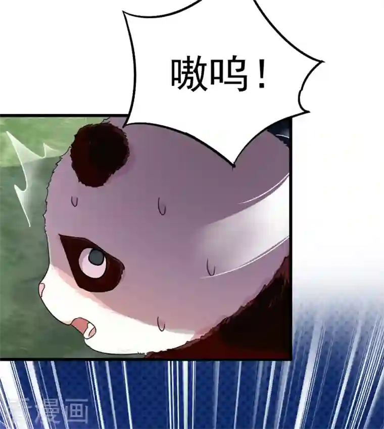 天降萌宝小熊猫：萌妃来袭第2话 帅哥从天而降