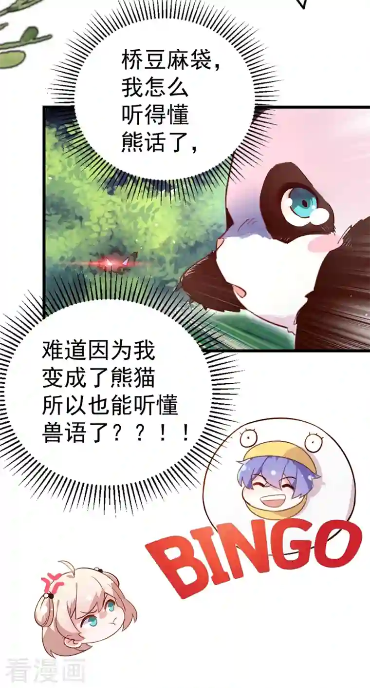天降萌宝小熊猫：萌妃来袭第2话 帅哥从天而降