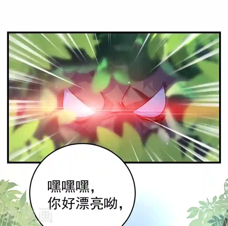 天降萌宝小熊猫：萌妃来袭第2话 帅哥从天而降