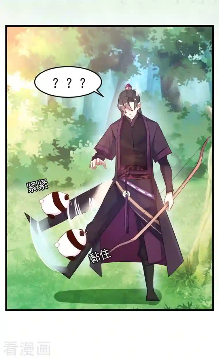 天降萌宝小熊猫：萌妃来袭第3话 想做熊猫的铲屎官吗？