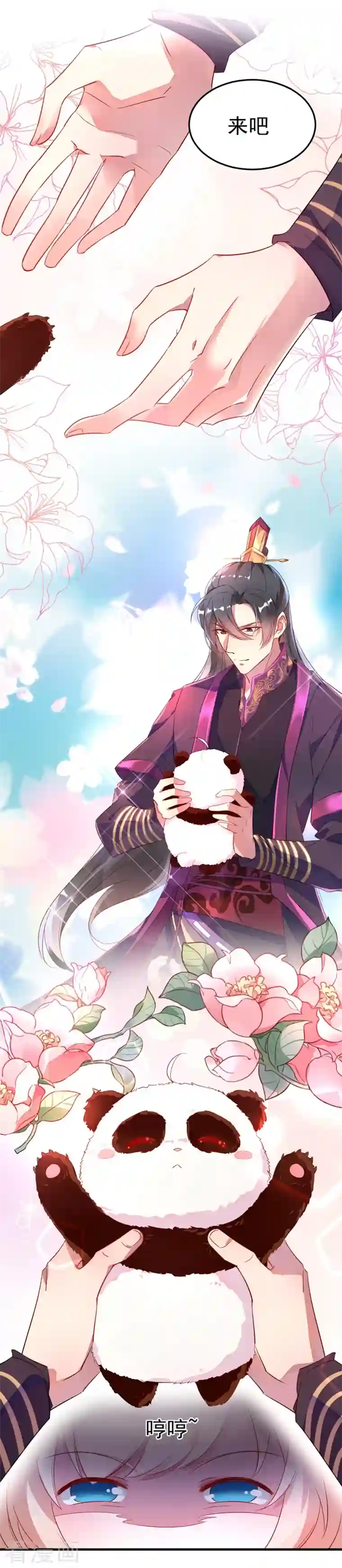 天降萌宝小熊猫：萌妃来袭第3话 想做熊猫的铲屎官吗？