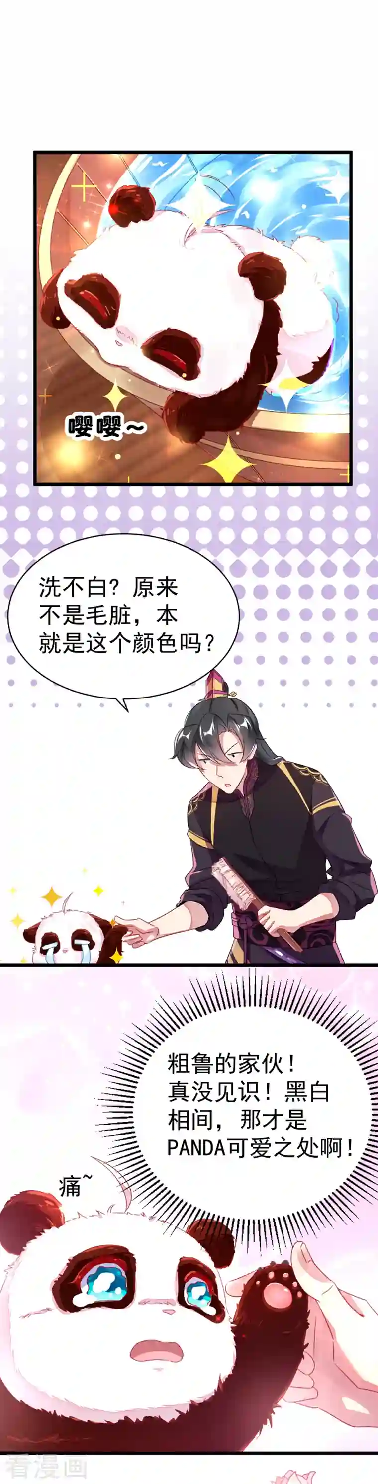 天降萌宝小熊猫：萌妃来袭第7话 熊猫洗的白吗？