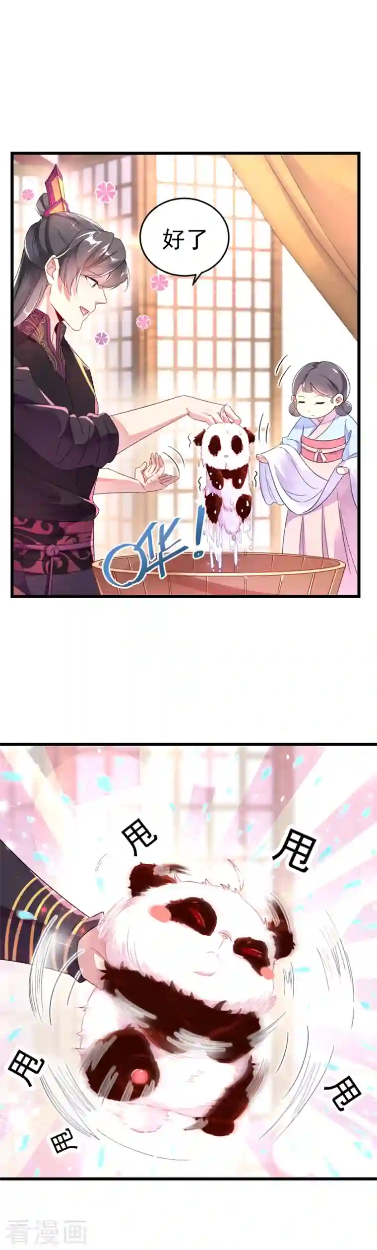 天降萌宝小熊猫：萌妃来袭第7话 熊猫洗的白吗？