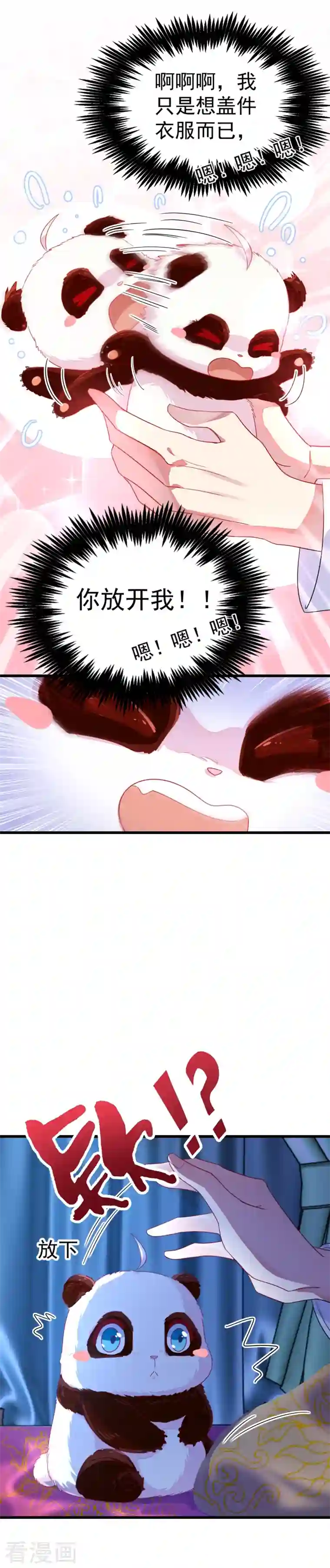 天降萌宝小熊猫：萌妃来袭第8话 来鸭~一起睡~