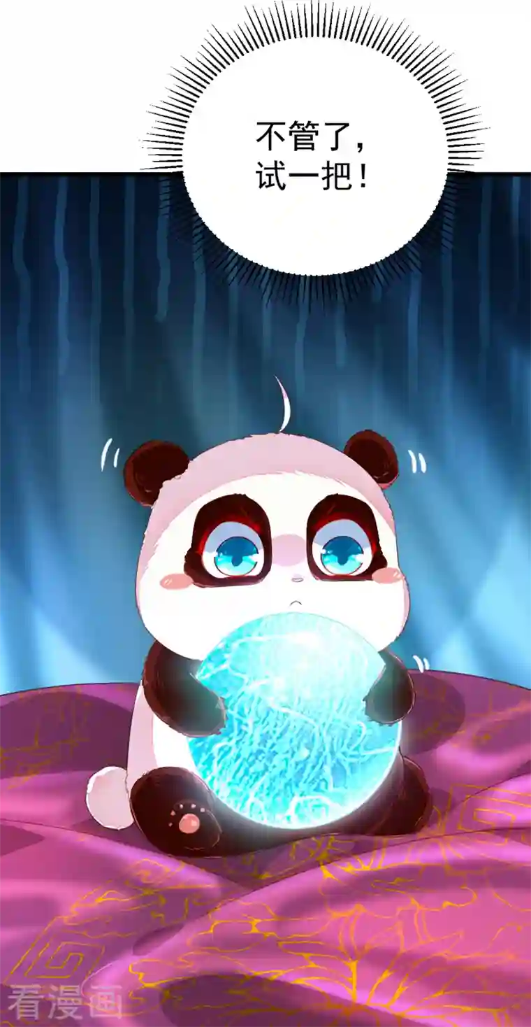 天降萌宝小熊猫：萌妃来袭第10话 我恢复人形了！
