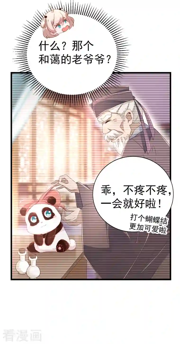 天降萌宝小熊猫：萌妃来袭第12话 怎么电铲屎官