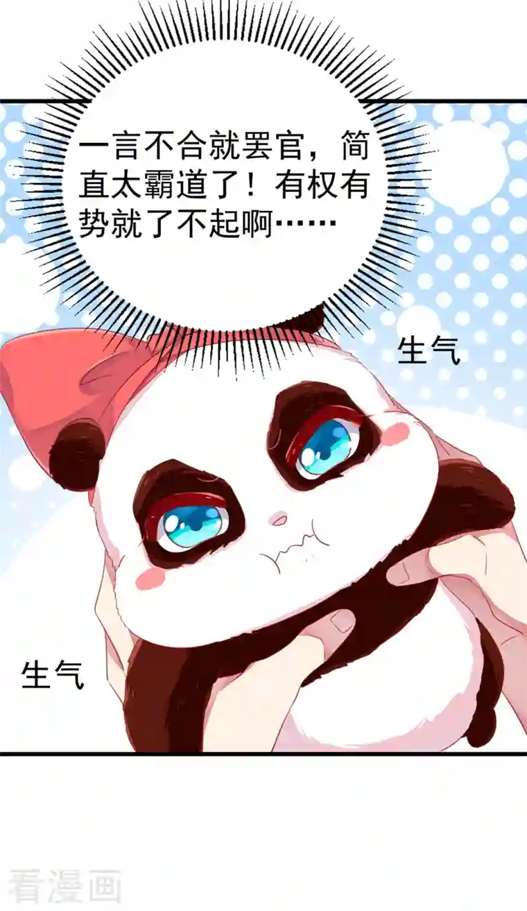 天降萌宝小熊猫：萌妃来袭第12话 怎么电铲屎官