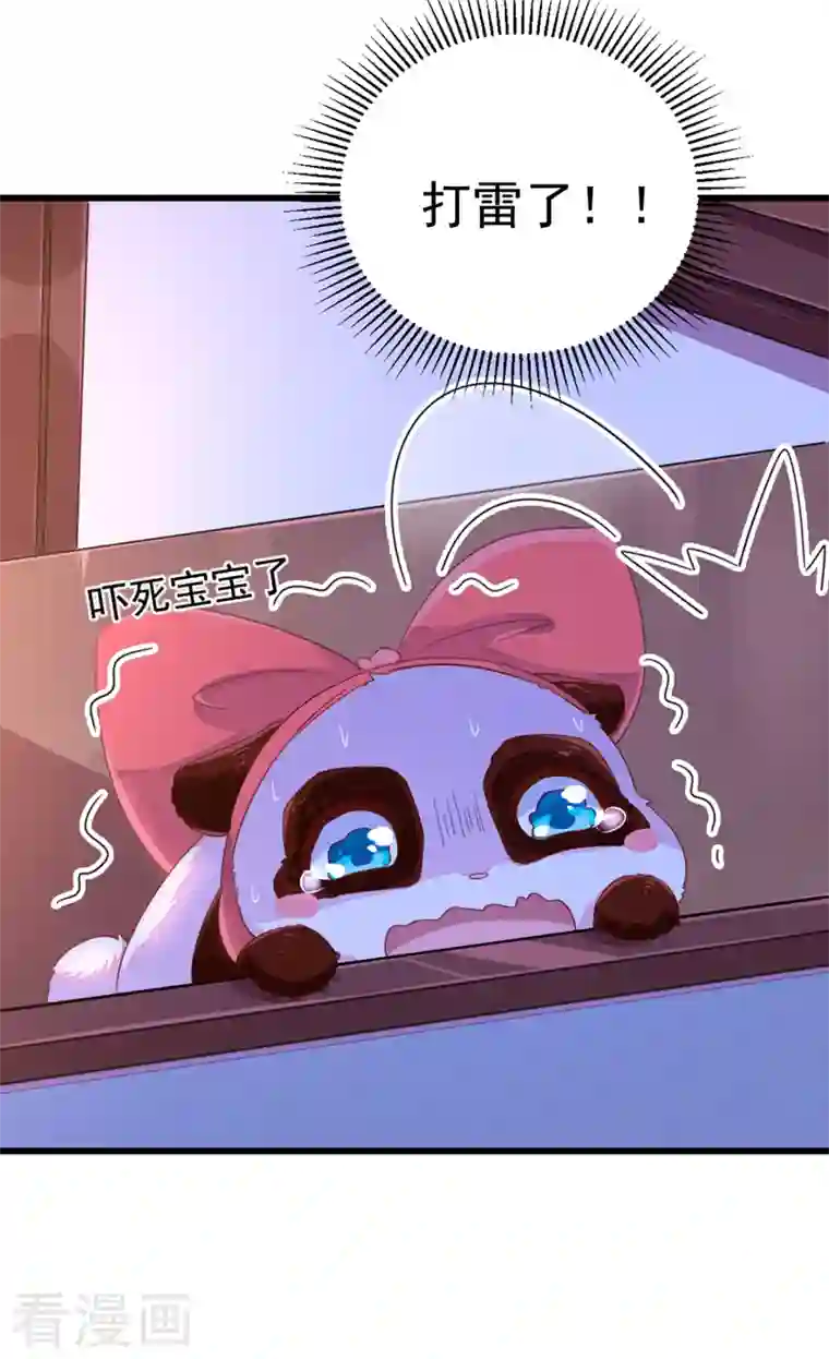 天降萌宝小熊猫：萌妃来袭第12话 怎么电铲屎官