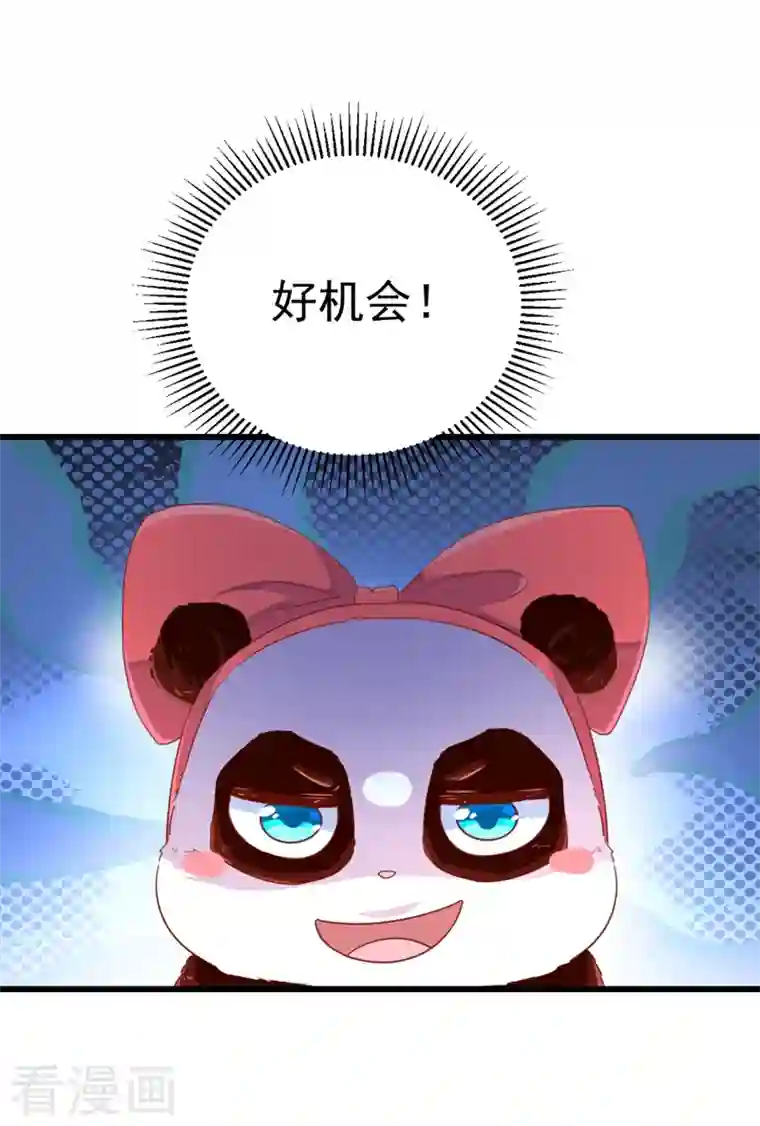 天降萌宝小熊猫：萌妃来袭第12话 怎么电铲屎官