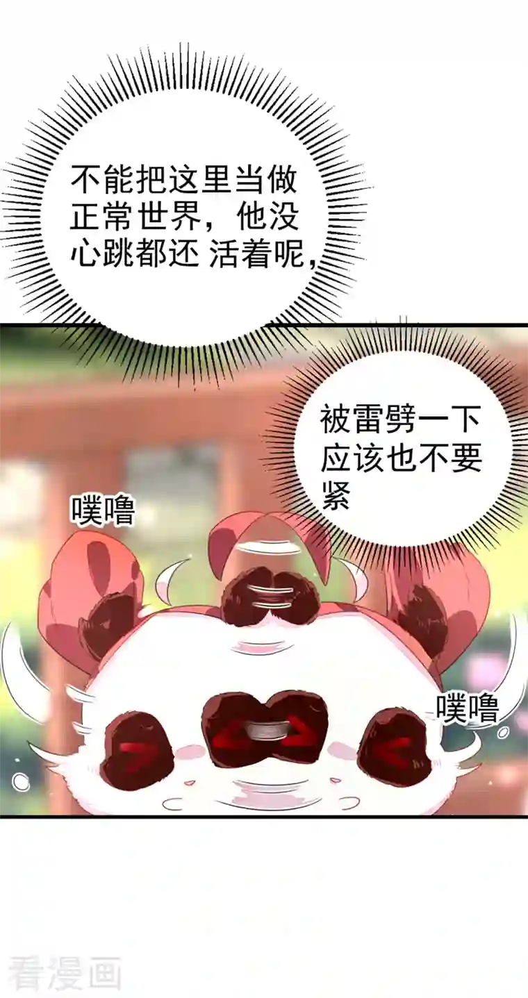 天降萌宝小熊猫：萌妃来袭第12话 怎么电铲屎官