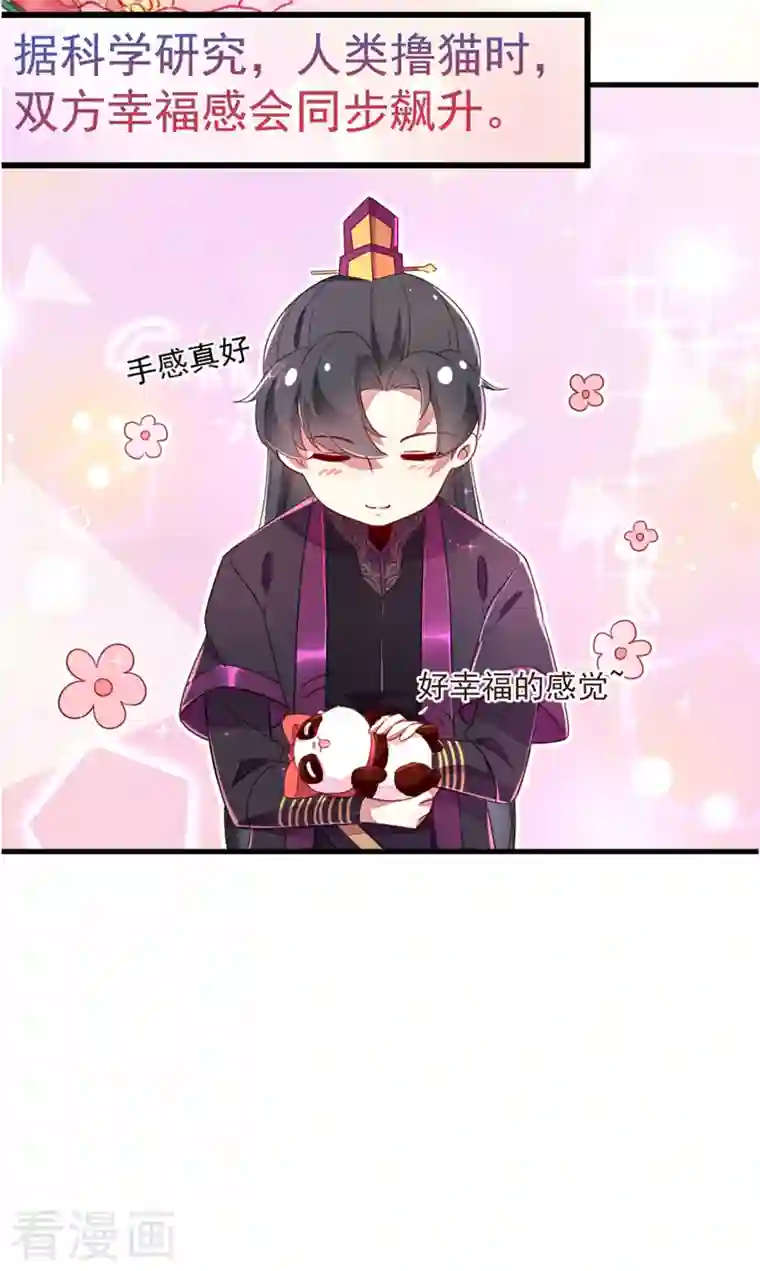 天降萌宝小熊猫：萌妃来袭第13话 一起被雷劈？