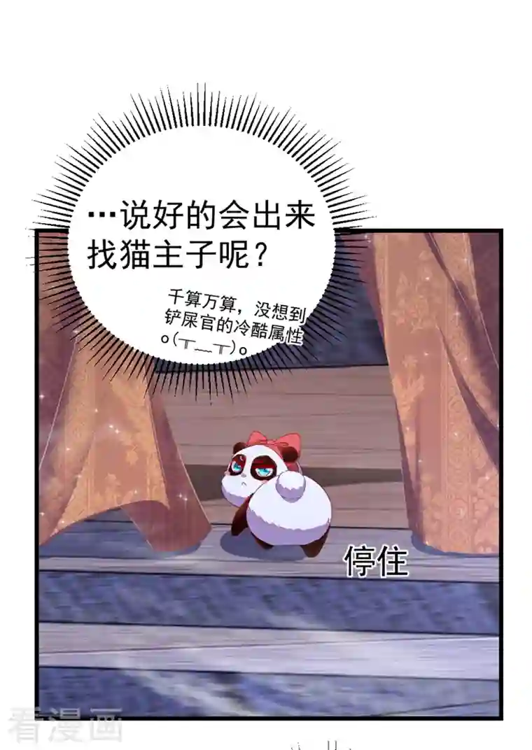 天降萌宝小熊猫：萌妃来袭第13话 一起被雷劈？