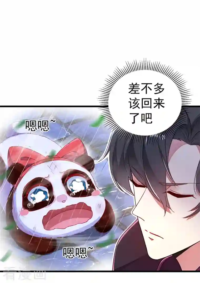 天降萌宝小熊猫：萌妃来袭第13话 一起被雷劈？