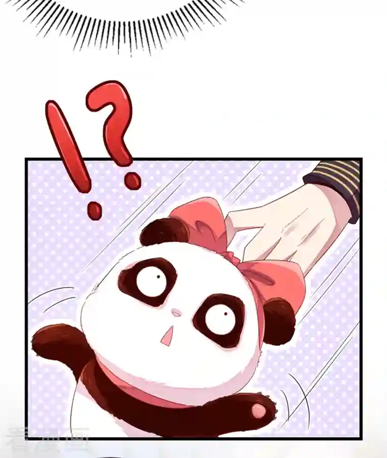 天降萌宝小熊猫：萌妃来袭第13话 一起被雷劈？