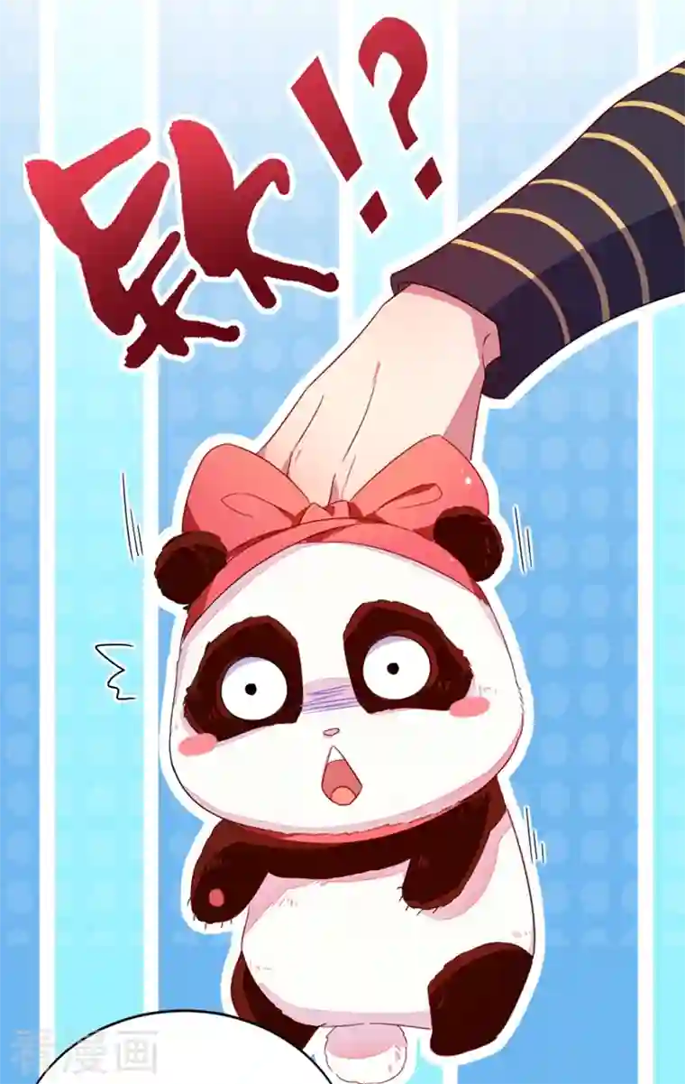 天降萌宝小熊猫：萌妃来袭第13话 一起被雷劈？