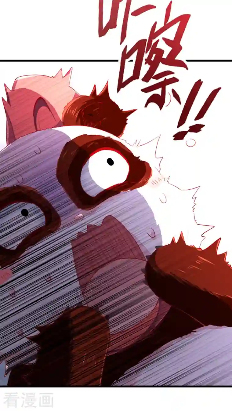 天降萌宝小熊猫：萌妃来袭第13话 一起被雷劈？