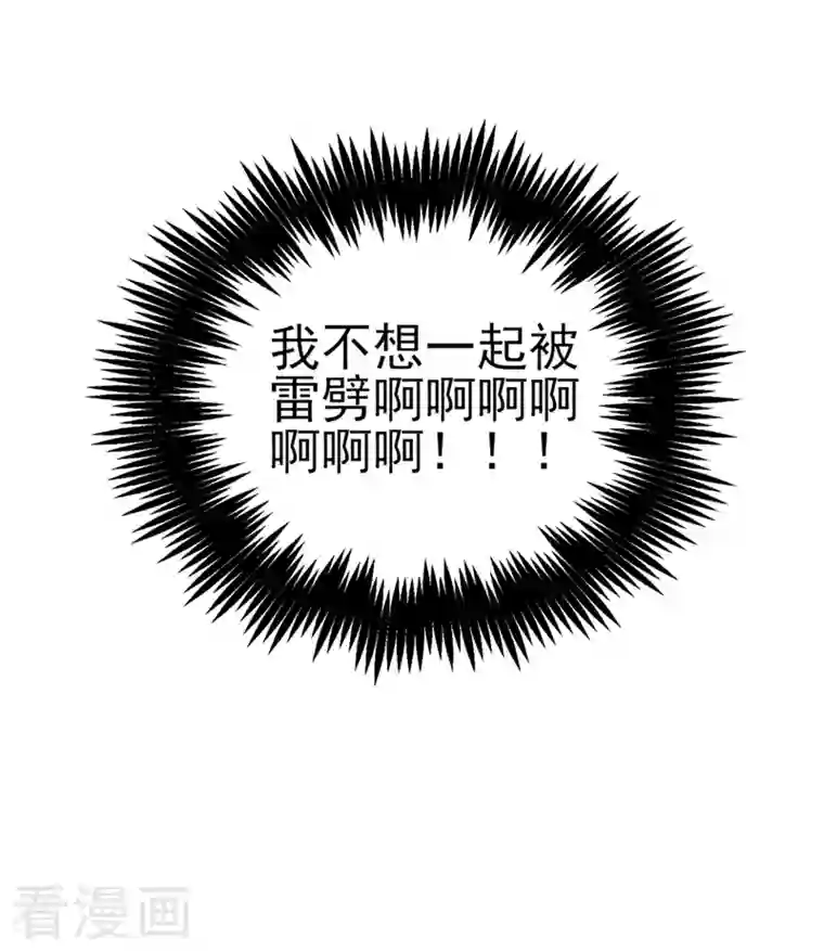 天降萌宝小熊猫：萌妃来袭第13话 一起被雷劈？