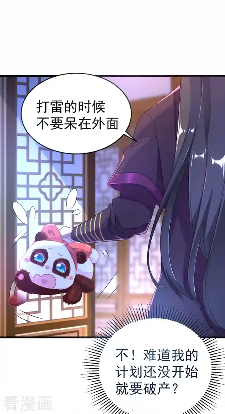 天降萌宝小熊猫：萌妃来袭第13话 一起被雷劈？