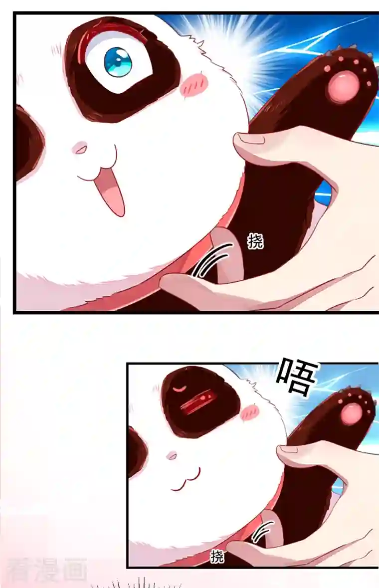 天降萌宝小熊猫：萌妃来袭第13话 一起被雷劈？