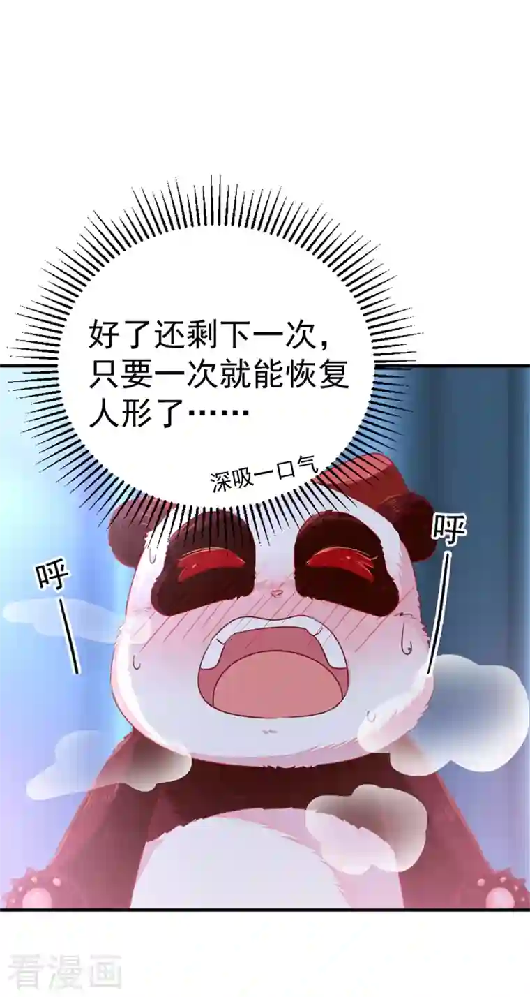 天降萌宝小熊猫：萌妃来袭第15话 没经验的初吻