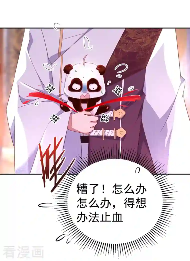 天降萌宝小熊猫：萌妃来袭第21话 鸡翅有点硬
