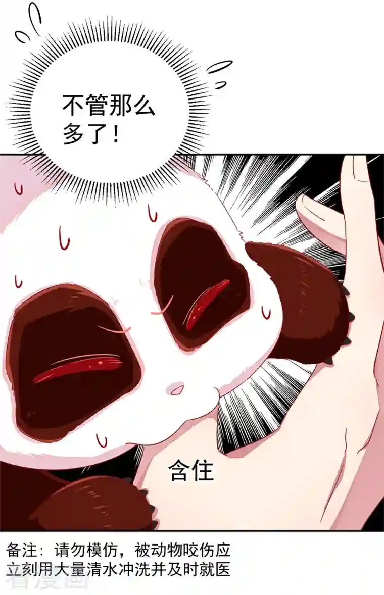 天降萌宝小熊猫：萌妃来袭第21话 鸡翅有点硬