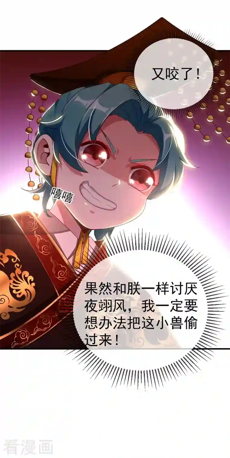 天降萌宝小熊猫：萌妃来袭第21话 鸡翅有点硬