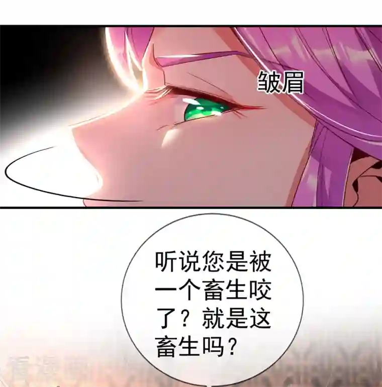 天降萌宝小熊猫：萌妃来袭第22话 它有名字