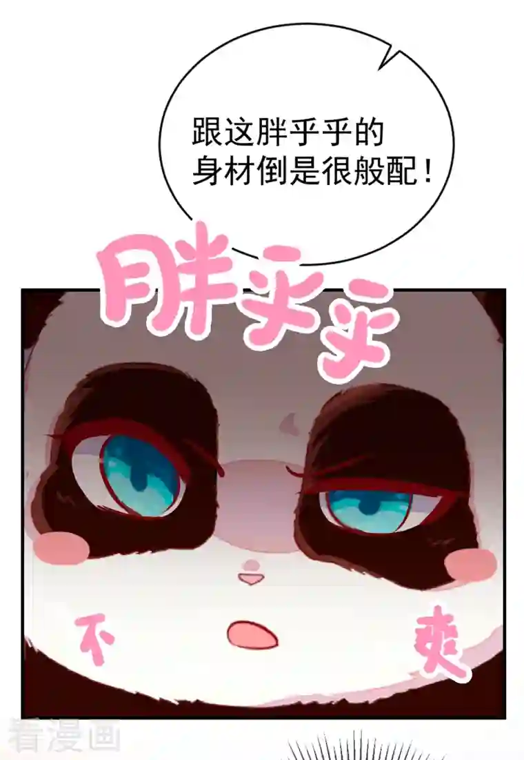 天降萌宝小熊猫：萌妃来袭第22话 它有名字