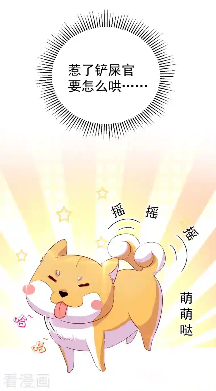 天降萌宝小熊猫：萌妃来袭第22话 它有名字