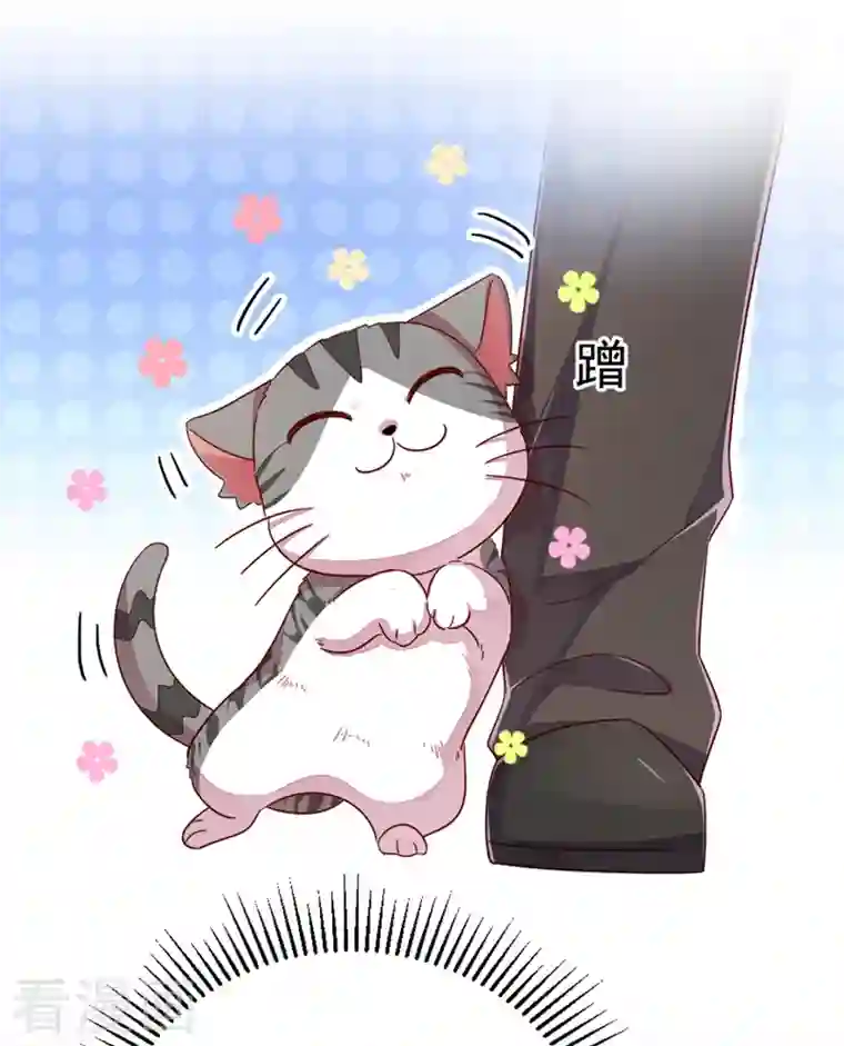 天降萌宝小熊猫：萌妃来袭第22话 它有名字