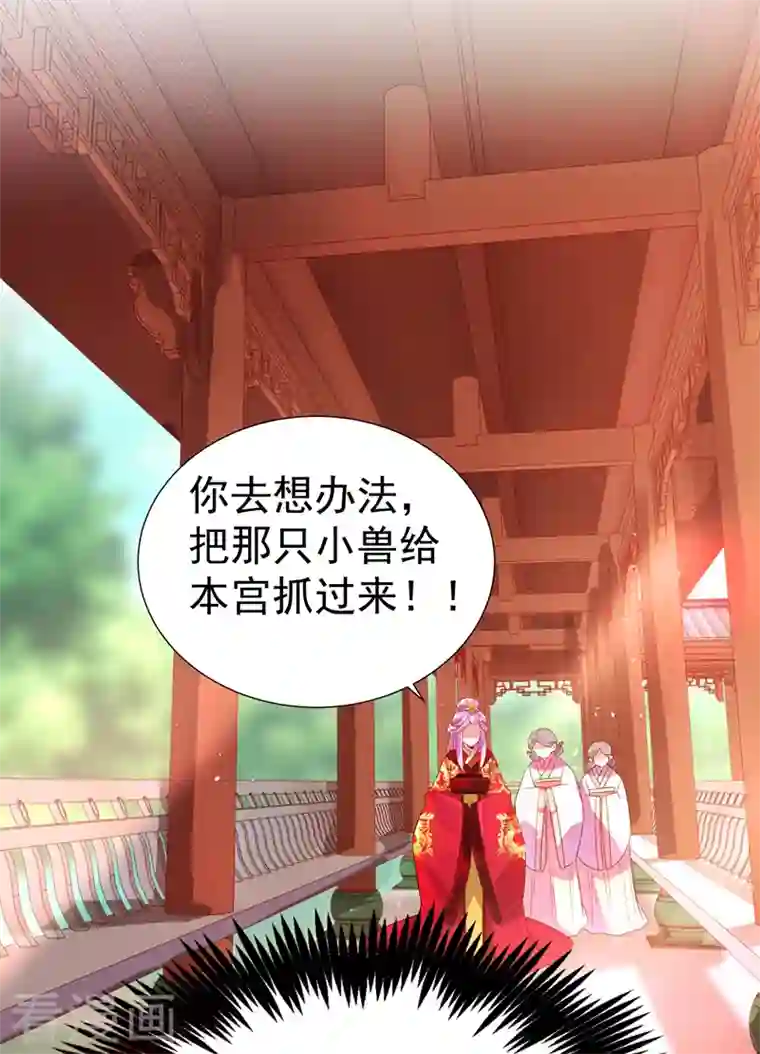 天降萌宝小熊猫：萌妃来袭第23话 王爷的cp登场