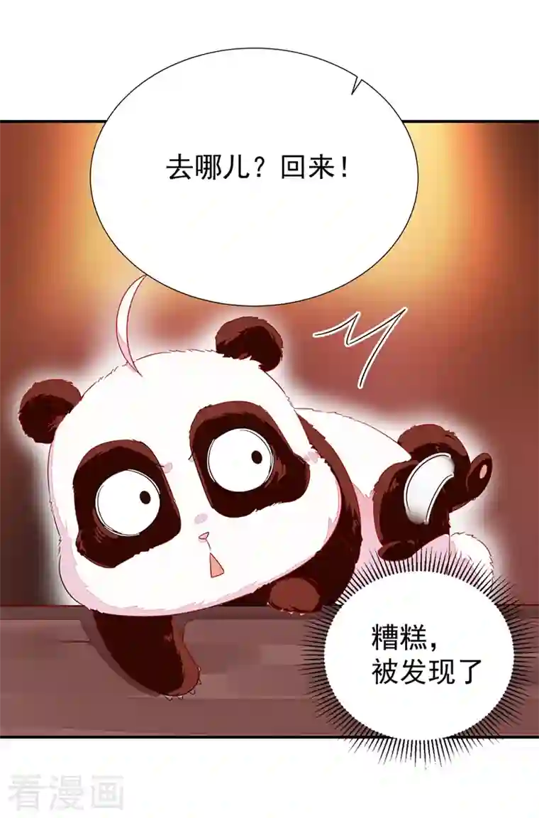 天降萌宝小熊猫：萌妃来袭第23话 王爷的cp登场