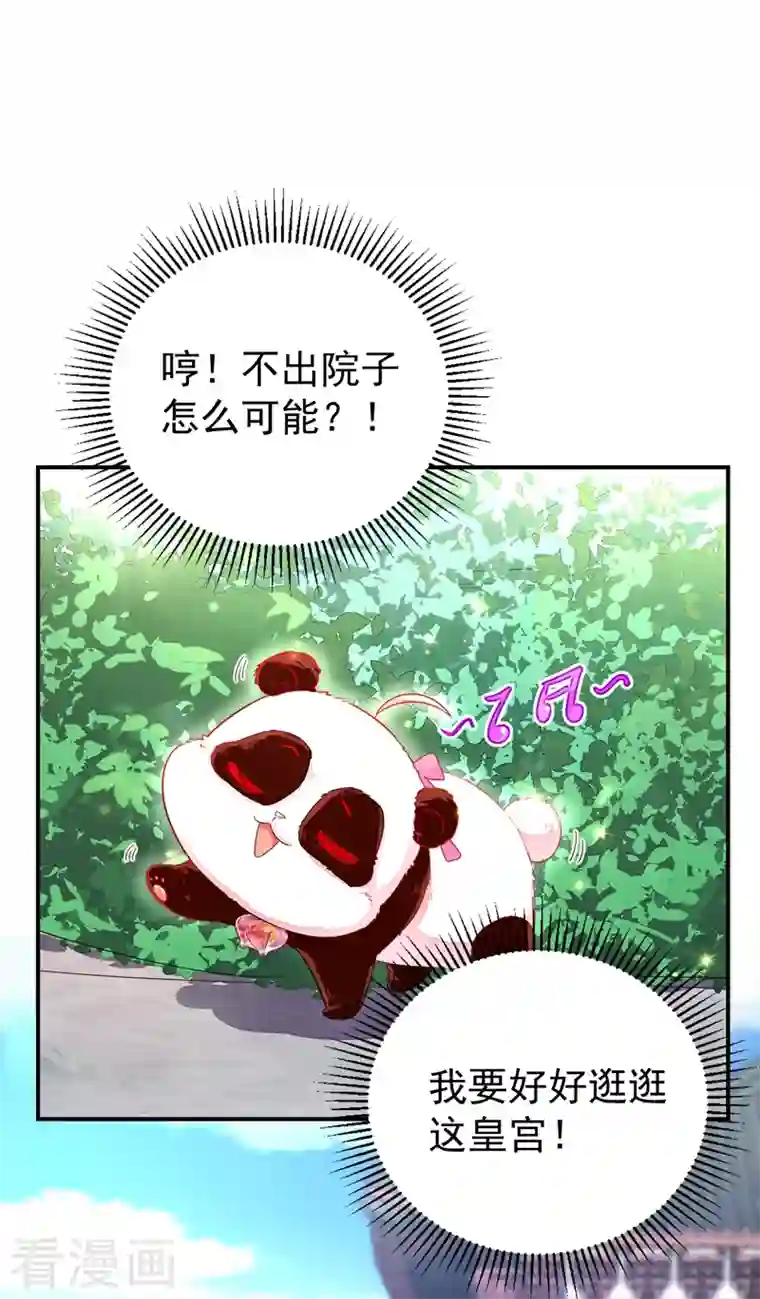 天降萌宝小熊猫：萌妃来袭第23话 王爷的cp登场