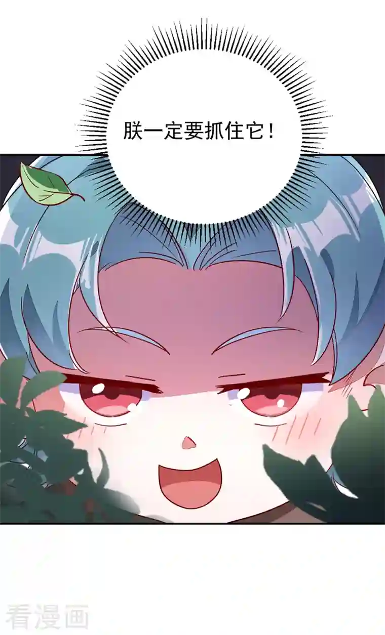 天降萌宝小熊猫：萌妃来袭第23话 王爷的cp登场