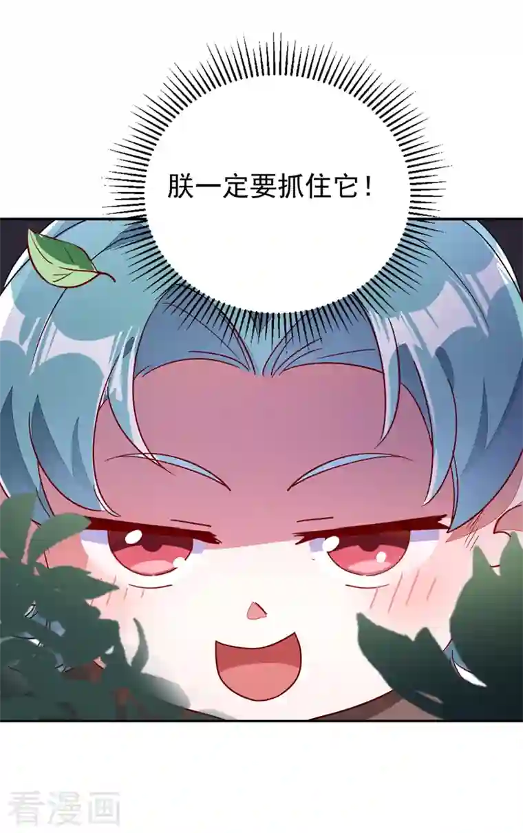 天降萌宝小熊猫：萌妃来袭第24话 神仙姐姐？