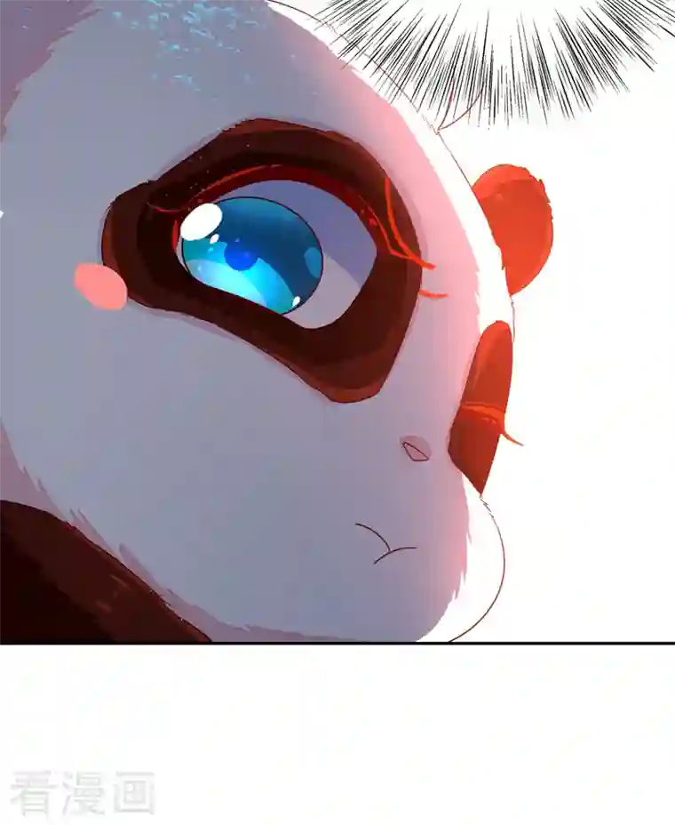 天降萌宝小熊猫：萌妃来袭第24话 神仙姐姐？