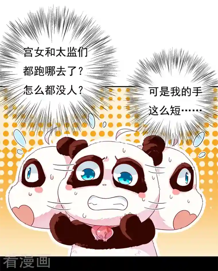 天降萌宝小熊猫：萌妃来袭第24话 神仙姐姐？