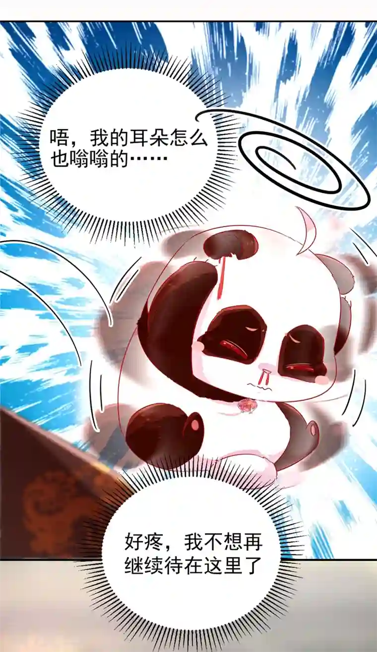 天降萌宝小熊猫：萌妃来袭第27话 现形