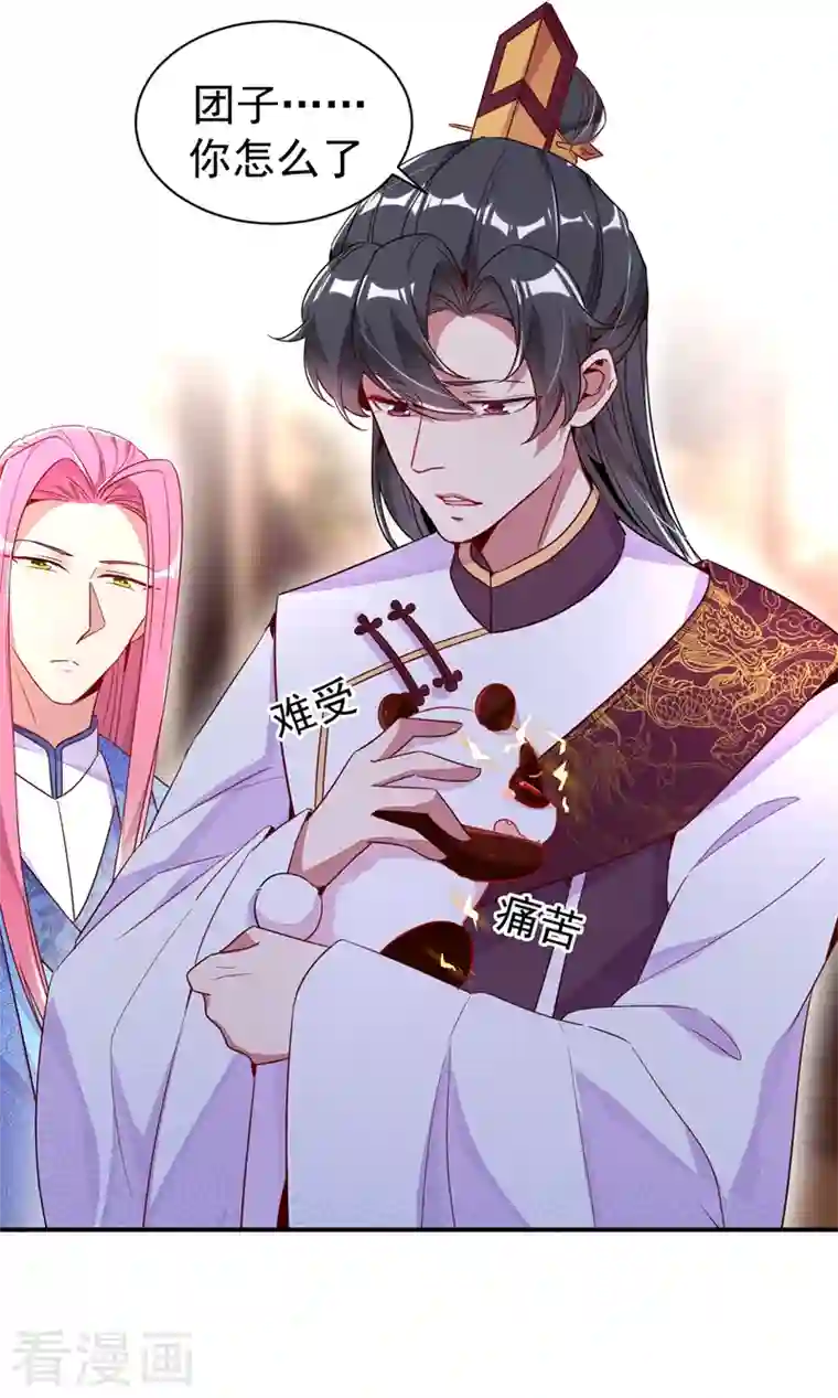 天降萌宝小熊猫：萌妃来袭第27话 现形