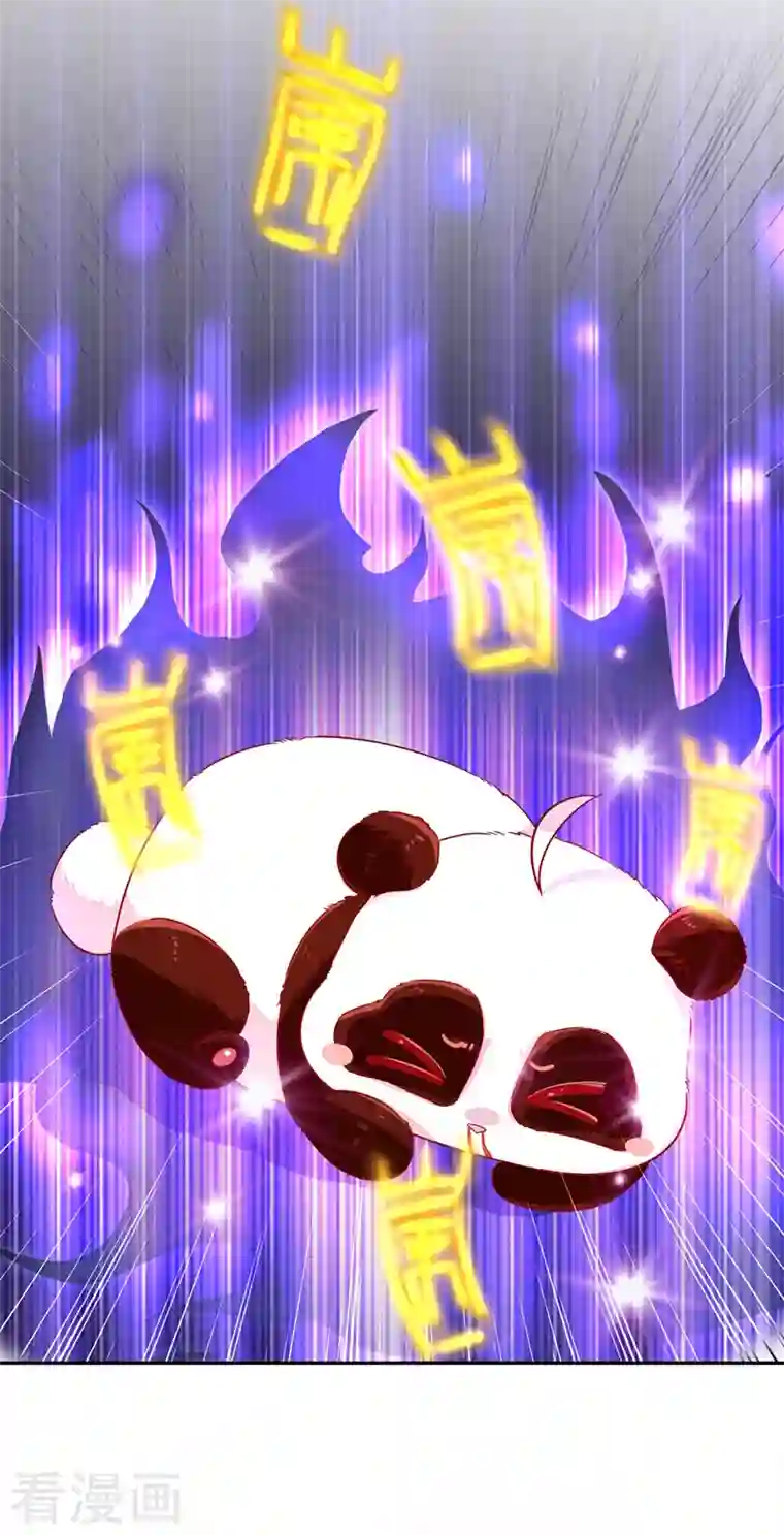 天降萌宝小熊猫：萌妃来袭第27话 现形