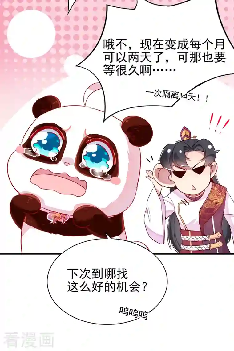 天降萌宝小熊猫：萌妃来袭第29话 要不老实交代？