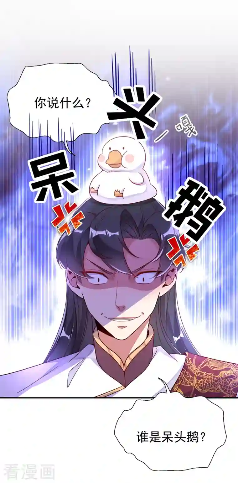 天降萌宝小熊猫：萌妃来袭第29话 要不老实交代？